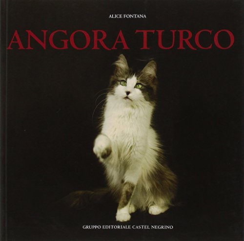 Angora turco. Ediz. illustrata Angora turco. Ediz. illustrata