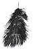Produktbild Schwarze Massage Streichel Feder vom Strauß