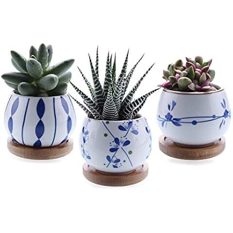 Amazon.es: Jarrones - Decoración del hogar: Hogar y cocina