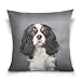 Produktbild ALAZA Werfen Cavalier King Charles Spaniel-Hundequadrat-Kissenbezug Cotton Velvet Kissenbezug