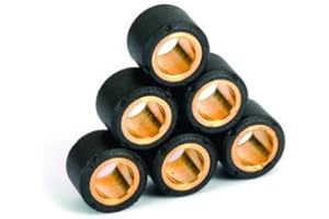 SIFAM Galets de variateur type origine 16x13mm 8-5 G- (x6)