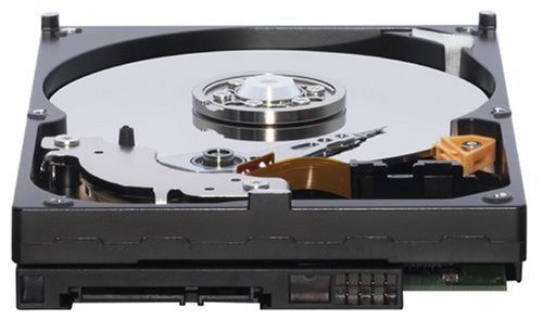 Western Digital 320GB 3 5  SATA II Unidad de - Disco duro  3 5   320 GB  7200 RPM  Serial ATA II  8 MB  Unidad de disco duro 