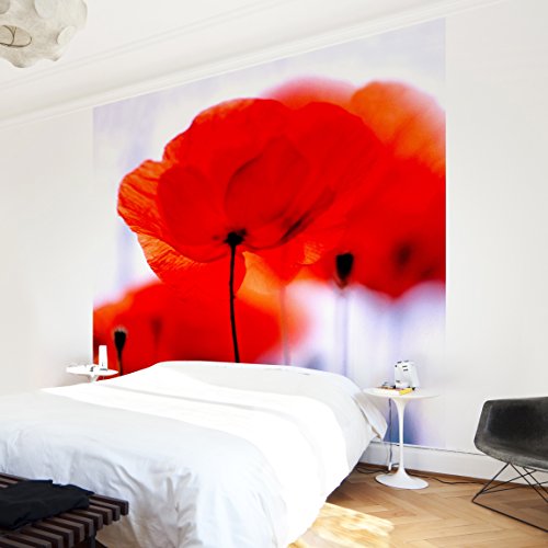 Apalis Vliestapete Blumentapete Magic Poppies Fototapete Quadrat | Vlies Tapete Wandtapete Wandbild Foto 3D Fototapete für Schlafzimmer Wohnzimmer Küche | Größe: 192x192 cm, rot, 95376