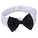 Geeignet für Hochzeiten, Feiertage und Partys, usw.