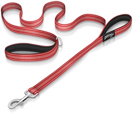 Reflective 180cm Nylon Dog Lead with Padded Double Handles, Heavy Duty with Thick Neoprene Dual Handles for Control Safety Training Durable Traffic Handle, 2 Handles (LARGE - 2.5 cm Width, RED)