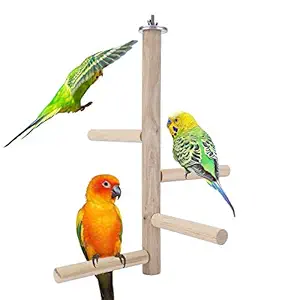 Mogoko Parakeet Perch Bird Natural Wood Stand,Parrot Cage Top Wooden Branches Standing Toys for Small Medium Parrots Conure Budgie Lovebirds