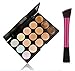 LyDia® 15 Colours Cream Concealer/Highlight/Face Contour Camouflage Palette Dull/Redness Skin/Black Circle kit set + LyDia® Red Hot Pink-1049 Flat Angled Makeup Brush