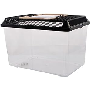 PET-PLAZA Kunststoffbox - Faunarium Medium - 29,5x19,5x20cm - ca. 7,5L Inhalts Volumen