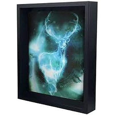 HARRY POTTER EPPL71238 Image 3D Encadrée, Plastique, Multicolore, 28,5 x 23,5 x 4,5 cm