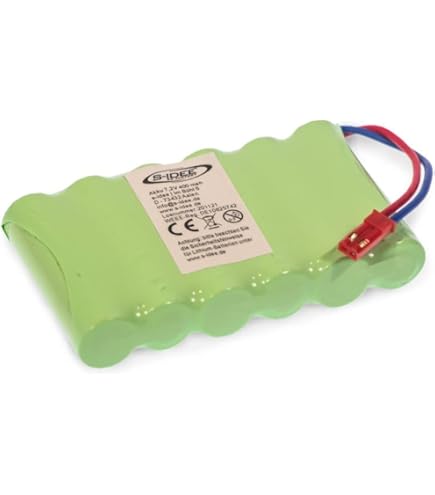 Tenergy Cargador de batería RC y 9.6V NiMH 1600mAh batería recargable