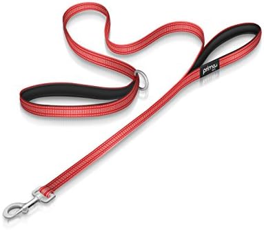 Reflective 120 cm Nylon Dog Lead with Padded Double Handles, Heavy Duty with Thick Neoprene Dual Handles for Control Safety Training Durable Traffic Handle, 2 Handles (SMALL – 1.5 cm Width, RED)