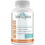 IdaPlus - Top Desinfektion CHLORAMIN-T 250 g RHD-Killer für Nager, Kaninchen & Kleintiere
