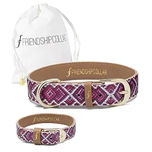 FriendshipCollar Dog Collar - X-Small