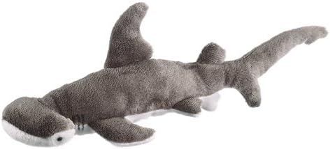 Bonnethead Shark 8 by Wild Life Artist by Wild Life Artist