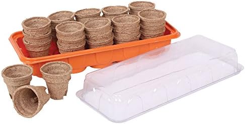Twigz Childrens Gardening Tools 0825 Mini Greenhouse