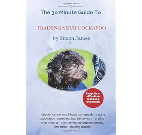 cockapoo toilet training