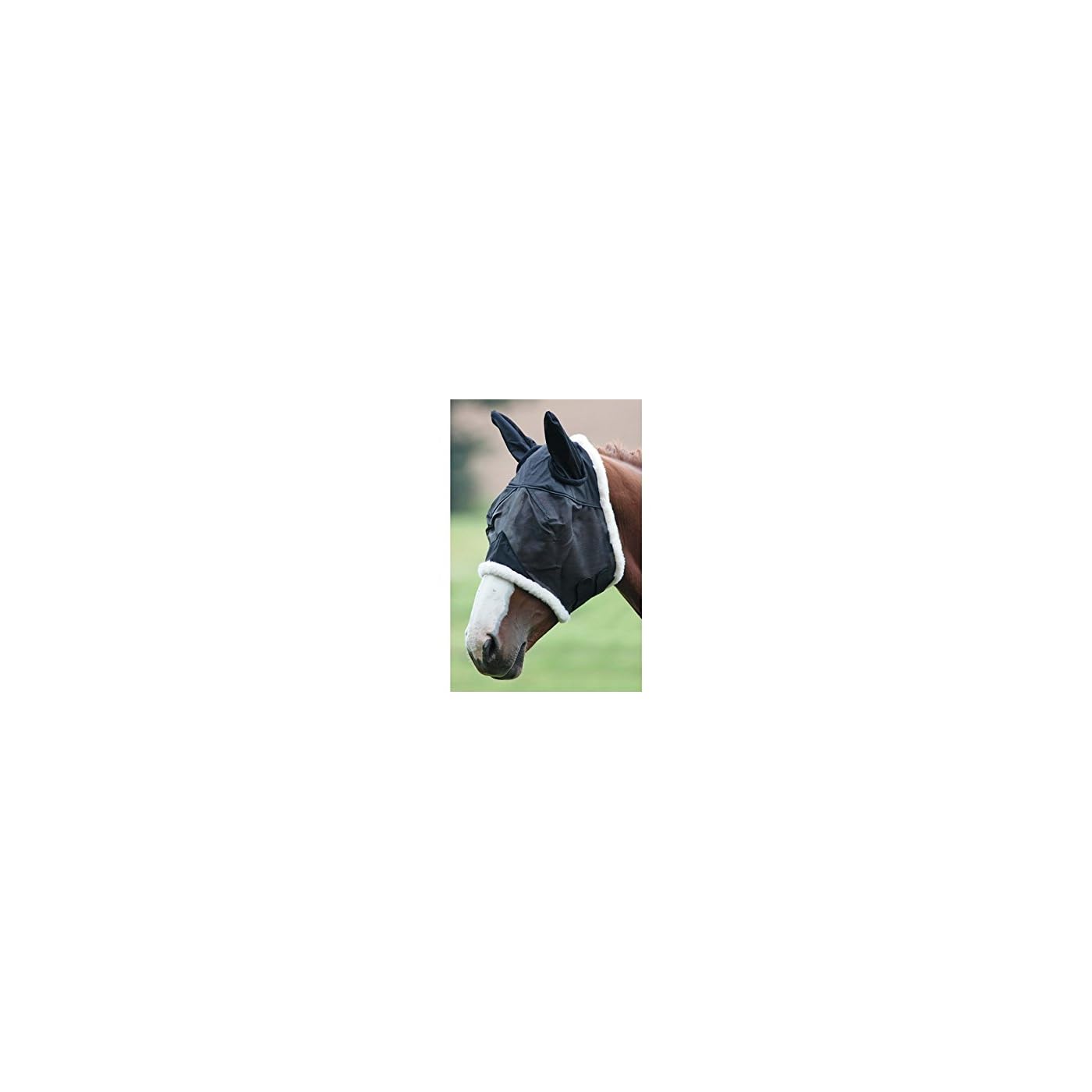 Horse ‘n’ Pony