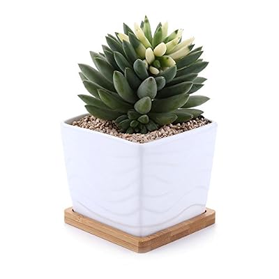 T4U 8.5CM Pot de Fleur en Céramique de Forme Ondulée/Plateau de Bambou/Pots de Cactus/Plante en Pot/Cultiver