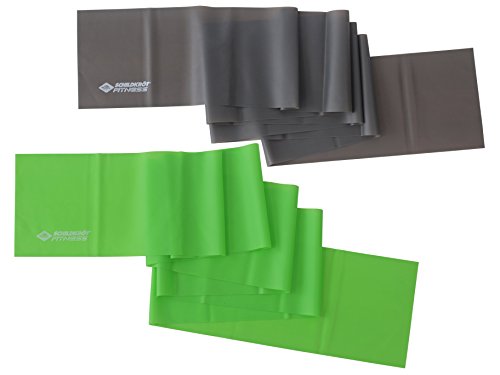 Schildkröt Fitness FITNESSBÄNDER, Latexfrei – 2er Set, in PVC Tube, 960120 - 2