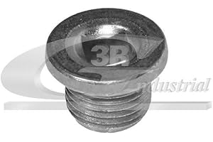 ‎3RG INDUSTRIAL 3RG INDUSTRIAL | Kappe Carter 16 x 1,50 | Autoteile für Motor und andere Fahrzeugteile | Kompatibel mit den unten aufgeführten Auto- und Motorradmodellen.