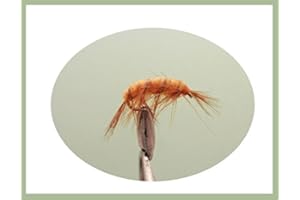 TROUTFLIES UK NYMPH FLIES 6 Pack of Shrimp Nymph Trout of Grayling Fishing Flies, Choice of Sizes