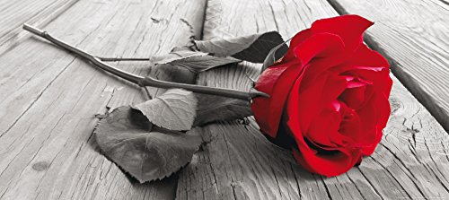 AG Design FTG 0917 Rote Rose, Papier Fototapete - 202x90 cm - 1 Teil, Papier, multicolor, 0,1 x 202 x 90 cm