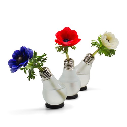 Blühbirne – Glühbirnenvase - 2