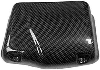 Pala oil cooler (8 rows). Buell XB motorcycles. Real Carbon Fiber