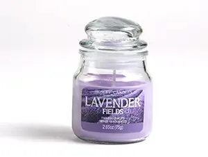 Hosley Lavender Fields Highly Fragranced, 2.65 Oz Wax, Jar Candle