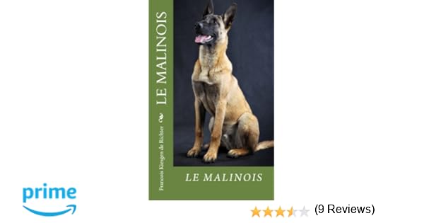 Palmarès Des Noms De Chiens Et Chats Oslo Oscar Et Nala