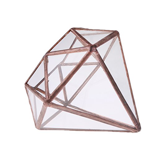 MagiDeal Geometrisches Glas Terrarium Box Glas Sukkulente Pflanzen Pflanzgefäß Deko Diamant Form – S - 5