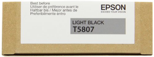 Epson Tintenpatrone Light Black für Epson Stylus Pro 3800 - 6