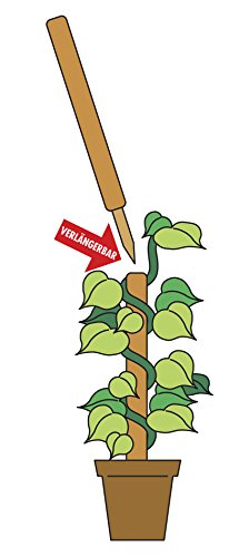 Windhager Pflanzstab Kokos, verlängerbar, 80 cm - 4