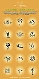 Image de Graphic ornaments. Ediz. multilingue. Con 2 CD-ROM