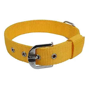 MUNCHOS Double Strip Dog 1.50 Inchi Collar for Extra Large Dogs (Colour May Vary)