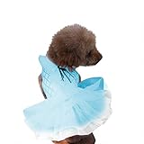 🍋🍋🍋cinturon perro collares para perros antiparasitos collares para perros peque collares para perros grandes chubasquero perro grande protector maletero perro bebedero perro automatico pipetas perros peque pipetas para perros pipetas perros frontline perros coche perros juguetes perros peque perros cama perros collar perros de caza perros de verdad mascotas easy walk arnes perro collar perro rosa collar perro pinchos cochecito para perros peluches de perros