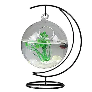 STOYRB Desktop Hanging Glass Fish Tank Mini Table Aquarium Glass Betta Fish Bowl Clear Fish Cylinder Bowl with Iron Stand for Office Home Decor, 1 Fish Bowl