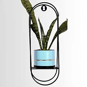 HINS Hanging stand with Metal Pot For Indoor Plants And Home Decor (Sky Blue) Plant Stands For Indoor Balcony I Plant Bench I Plant Stands I Pot Stand Single I Potted Plant Stand I Big Pots I Metal Plant Stand I Tall Outdoor Planter I Metal Casters I Large Plant Stand I Pot Stands For Garden I Indoor Plants Stand I Iron Plant Stand I Terrace Garden Stand I Garden Rack I Iron Stand For Pots I Pots Stand I Indoor Planter With Stand I Metal Plant Stands