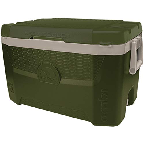 Igloo Coolers Europe Sportsman Quantum 55 Adulte Unisexe, Vert, 52 Litre