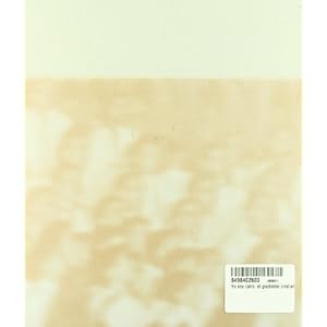 Yo soy Catio (Biografías juveniles)