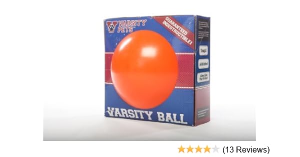 varsity ball dog toy