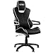 Produktbild Nitro Concepts E200 Race Serie Gaming Stuhl weiß weiß Black White