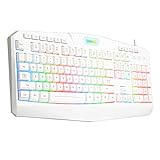 Der Redragon K503 PRO verfügt über 26 konfliktfreie (N-Key Rollover), 4 dedizierte Multimediatasten plus 12 zusätzliche FN+-Multimedia-Tasten. Mit vollständigem Ziffernblock und einem vergoldeten, korrosionsfreien USB-Stecker für eine zuverlässige Verbindung und ultimative Gaming-Performance