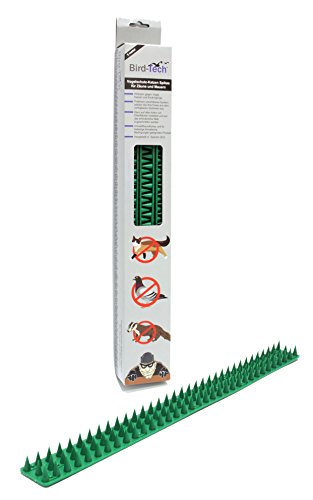 Dissuasore Antipiccione- Anti gatti 3 METRI (verde)