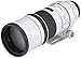 Price comparison product image Canon EF 300mm f/4.0L IS USM Image Stabilising Lens