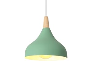 SENQIU Lámpara de Techo Moderna, Ø22cm Lámpara Colgante Retro, E27 Iluminación de techo Vintage Pantalla Metal para Cocina Restaurante Sala de Estar Dormitorio (Verde)