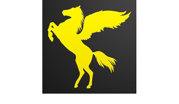 yellow pegasus