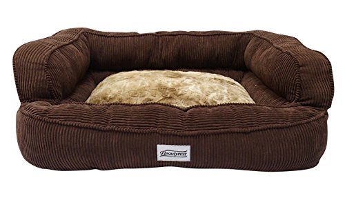 simmons dog bed
