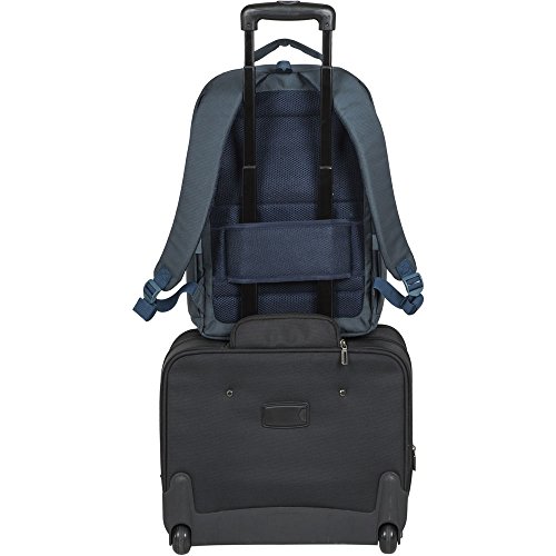 RIVACASE Notebook Rucksack bis 17.3“ – Elegante Tasche mit gepolsterten Schultergurten und Belüftungsystem – Aquamarine - 10