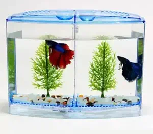 Aquarium Acrylic Small Fish Betta Double House breeding Box Hatchery Isolation Box Multi Colour 1pcs 18x15x18cm